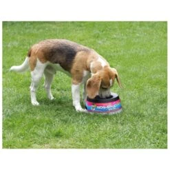 Road Refresher Grijs 17 Road Refresher Grijs -Dierenwinkel LGRR 3