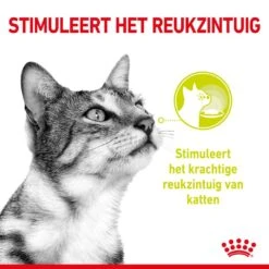 Royal Canin Kattenvoer Sensory Smell In Gravy 12 X 85 Gr -Dierenwinkel RC SPT WET SensSmellCIG CV 1 nl NL