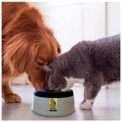 Road Refresher Grijs 13 Road Refresher Grijs -Dierenwinkel SGRR 3