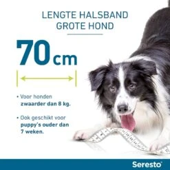 Seresto Band Voor Grote Honden -Dierenwinkel Seresto grotehond lengte