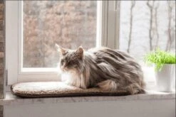 Petlando Windowchiller Cappuccino -Dierenwinkel WIndowchiller