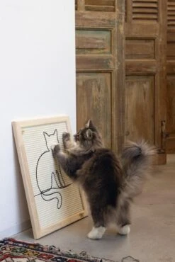 Designed By Lotte Hout Krabplank Sammy -Dierenwinkel Web 0409140 sfeer1