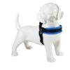 Tre Ponti Hondentuig Mesh Fibbia Reflective Verstelbaar Sky Blauw -Dierenwinkel blauw donker hond