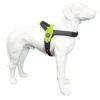 Tre Ponti Hondentuig Primo Fluoro Reflective Geel -Dierenwinkel fluoro green reflectivekopie