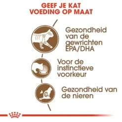 Royal Canin Kattenvoer Ageing 12+ In Gravy 12 X 85 Gr -Dierenwinkel royal canin ageing 12plus in gravy senior kat oudere kat vanaf 12 jaar hero usp