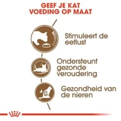 Royal Canin Kattenvoer Ageing 12+ 2 Kg -Dierenwinkel royal canin ageing 12plus senior kat oudere kat vanaf 12 jaar hero usp