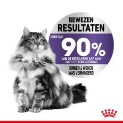 Royal Canin Kattenvoer Appetite Control Care 2 Kg -Dierenwinkel royal canin appetite control care gesteriliseerd volwassen kat bedelgedrag hero image 9