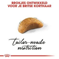 Royal Canin Kattenvoer British Shorthair Kitten 10 Kg -Dierenwinkel royal canin british shorthair kitten kitten kat brits korthaar hero kibble 1