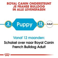 Royal Canin Hondenvoer French Bulldog Puppy 10 Kg -Dierenwinkel royal canin french bulldog junior pup hond franse bulldog hero image 9