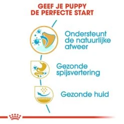 Royal Canin Hondenvoer French Bulldog Puppy 10 Kg -Dierenwinkel royal canin french bulldog junior pup hond franse bulldog hero usp