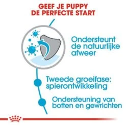 Royal Canin Hondenvoer Giant Junior 15 Kg -Dierenwinkel royal canin giant junior pup hond zeer grote hondenrassen hero usp
