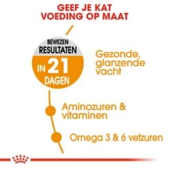 Royal Canin Kattenvoer Hair & Skin Care 4 Kg -Dierenwinkel royal canin hair skin care volwassen kat vacht en huid hero usp