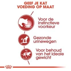 Royal Canin Kattenvoer Instinctive In Jelly 12 X 85 Gr -Dierenwinkel royal canin instinctive in jelly volwassen kat kieskeurige katten hero usp