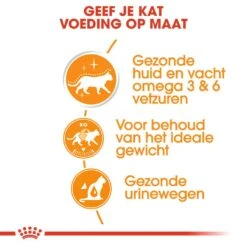 Royal Canin Kattenvoer Intense Beauty In Gravy 12 X 85 Gr -Dierenwinkel royal canin intense beauty in gravy volwassen kat vacht en huid hero usp