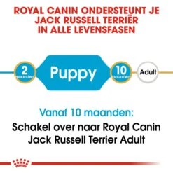Royal Canin Hondenvoer Jack Russell Puppy 1,5 Kg -Dierenwinkel royal canin jack russell terrier junior pup hond jack russell terrier hero image 9
