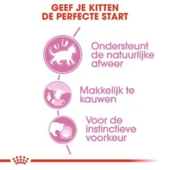 Royal Canin Kattenvoer Kitten In Gravy 12 X 85 Gr -Dierenwinkel royal canin kitten in gravy kitten kat natuurlijke weerstand hero usp