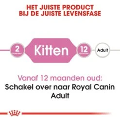 Royal Canin Kattenvoer Kitten 10 Kg -Dierenwinkel royal canin kitten kitten kat groeifase hero image 8