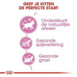 Royal Canin Kattenvoer Kitten 10 Kg -Dierenwinkel royal canin kitten kitten kat groeifase hero usp