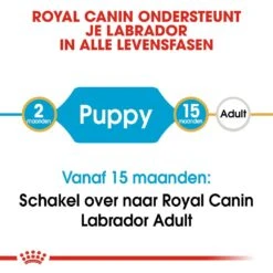 Royal Canin Hondenvoer Labrador Retriever Puppy 12 Kg -Dierenwinkel royal canin labrador retriever junior pup hond labrador retriever hero image 9
