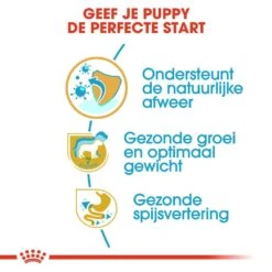 Royal Canin Hondenvoer Labrador Retriever Puppy 12 Kg -Dierenwinkel royal canin labrador retriever junior pup hond labrador retriever hero usp