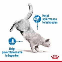 Royal Canin Kattenvoer Light Weight Care 3 Kg -Dierenwinkel royal canin light weight care volwassen kat preventie overgewicht hero image 8 1
