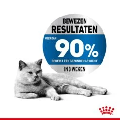 Royal Canin Kattenvoer Light Weight Care 8 Kg -Dierenwinkel royal canin light weight care volwassen kat preventie overgewicht hero usp