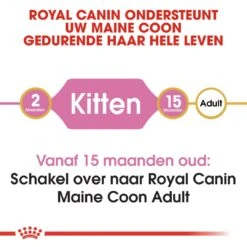 Royal Canin Kattenvoer Maine Coon Kitten 10 Kg -Dierenwinkel royal canin maine coon kitten kitten kat maine coon hero image 8