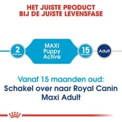 Royal Canin Hondenvoer Maxi Puppy Active 15 Kg 9 Royal Canin Hondenvoer Maxi Puppy Active 15 Kg -Dierenwinkel royal canin maxi puppy active pup hond grote hondenrassen hero image 8