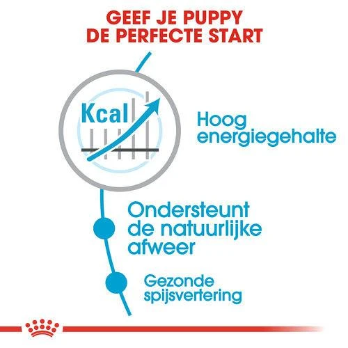 Royal Canin Hondenvoer Maxi Puppy Active 15 Kg 5 Royal Canin Hondenvoer Maxi Puppy Active 15 Kg - Afbeelding 3