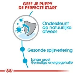 Royal Canin Hondenvoer Maxi Puppy 10 Kg -Dierenwinkel royal canin maxi puppy pup hond grote hondenrassen hero usp