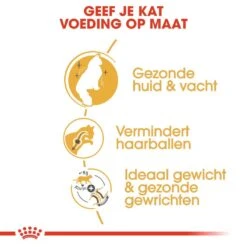 Royal Canin Kattenvoer Norwegian Forest Cat Adult 2 Kg -Dierenwinkel royal canin norwegian forest cat adult volwassen kat noorse boskat hero usp