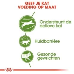 Royal Canin Kattenvoer Outdoor 10 Kg -Dierenwinkel royal canin outdoor volwassen kat buitenkatten hero usp 1