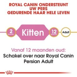 Royal Canin Kattenvoer Persian Kitten 2 Kg -Dierenwinkel royal canin persian kitten kitten kat pers hero image 8
