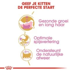 Royal Canin Kattenvoer Persian Kitten 2 Kg -Dierenwinkel royal canin persian kitten kitten kat pers hero usp