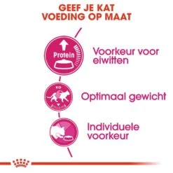 Royal Canin Kattenvoer Protein Exigent 10 Kg -Dierenwinkel royal canin protein exigent volwassen kat kieskeurige katten hero usp