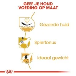 Royal Canin Hondenvoer Pug Adult 7,5 Kg -Dierenwinkel royal canin pug mopshond adult volwassen hond mopshond vanaf 10 maanden hero usp