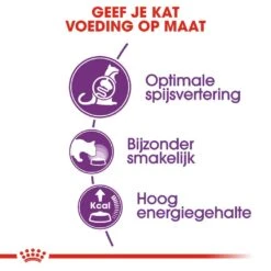 Royal Canin Kattenvoer Sensible 33 10 Kg -Dierenwinkel royal canin sensible 33 volwassen kat ondersteuning spijsvertering hero usp