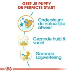 Royal Canin Hondenvoer Shih Tzu Puppy 1,5 Kg -Dierenwinkel royal canin shih tzu junior pup hond shih tzu hero usp