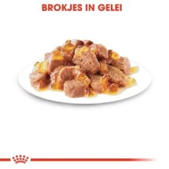 Royal Canin Kattenvoer Sterilised In Jelly 12 X 85 Gr -Dierenwinkel royal canin sterilised in jelly volwassen kat castratie sterilisatie hero kibble