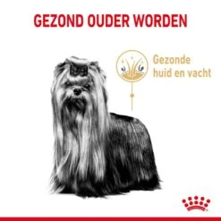 Royal Canin Hondenvoer Yorkshire Terrier Adult 8+ 3 Kg -Dierenwinkel royal canin yorkshire terrier adult volwassen hond yorkshire terrier vanaf 8 jaar hero usp 1