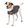 Thundershirt 2 Thundershirt -Dierenwinkel thundershirt jackrussel